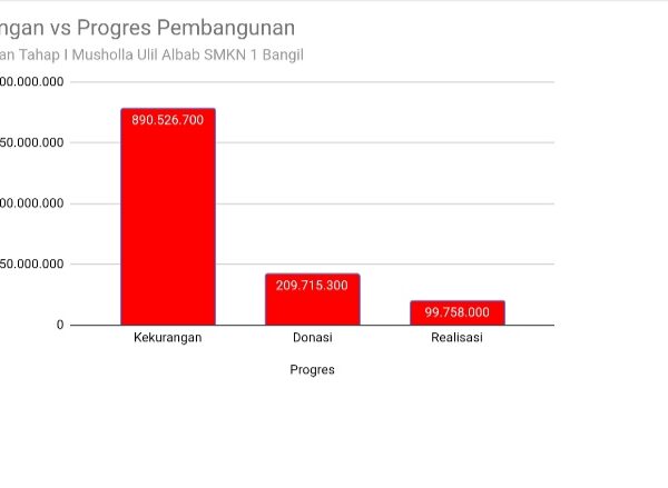 Pendapatan Donasi dan Progress Realisasi Pendapatan Donasi dan Progress Realisasi